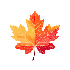 Fototapeta premium A beautiful and vibrant watercolor illustration of a single autumn maple leaf with a stunning red and orange gradient, isolated on a clean white background. 