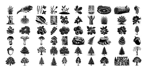 Forest vegetation icon pack vector – woodland plants, mushrooms, trees and natural elements in detailed black line art