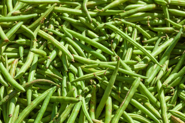 Frische grüne Buschbohnen auf einem Marktstand, Deutschland