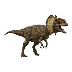 Fototapeta premium Dilophosaurus dinosaur Dilophosaurus dinosaur on transparent background