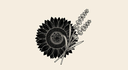 Minimalist black sunflower and lavender floral illustration.