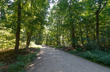 Tiergarten Park w Berlinie © Miroslaw