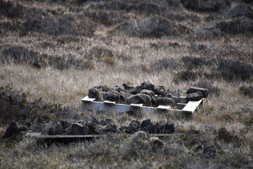 Drying Old Peat Bricks in the Heathered Bogs