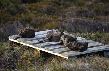 Drying Peat Bricks Being Harvested on Bogs