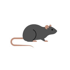 A simple flat illustration of a gray rodent with a long tail and pink ears on a white background