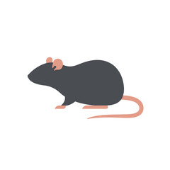 A simple flat illustration of a dark gray rat with a long pink tail on a white background