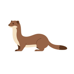 Illustration of a brown weasel with a long body and bushy tail standing on a white background