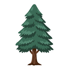 A stylized cartoon illustration of a tall green evergreen pine tree with a brown trunk on a white background