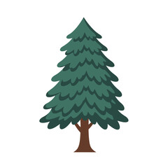 Stylized illustration of a green pine tree with a brown trunk on a white background