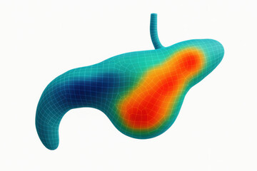 Stomach Anatomy Visualization, Medical Illustration Depicting Potential Issues, 3D Rendering [Illustration]