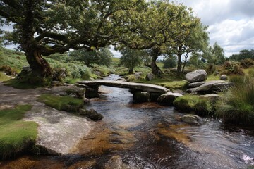 Fototapeta premium Babbling Brook at Dartmoor Bridge. Devon's Twisted Tree and Granite Stones in Moorland