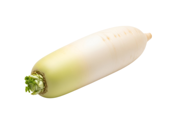 A single, fresh daikon radish, displaying its smooth, creamy white exterior, highlighted by a subtle, pale yellow gradient that transitions to a vibrant green top.
