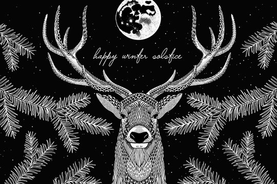 Hand Drawn Winter Solstice Illustration with Moon and Deer