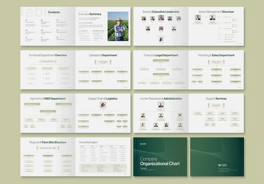 Organizational Chart Template for Company Org Chart, Corporate Hierarchy & Executive Team Structures