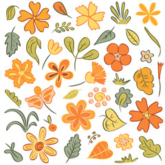 collection of hand drawn flowers and leaves in orange yellow and green tones isolated floral elements set for decoration botanical illustration for design projects craft stationery and seasonal concep