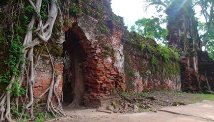 Ancient brick wall overgrown with vines