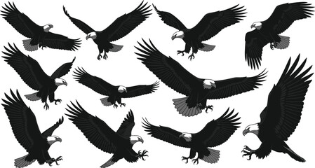 Set of majestic bald eagles in various flying and landing poses, detailed vector illustrations for wildlife, nature, and patriotic themes