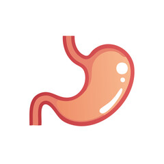 Simple cartoon illustration of a human stomach organ. Anatomy icon for digestive health and medical concepts.