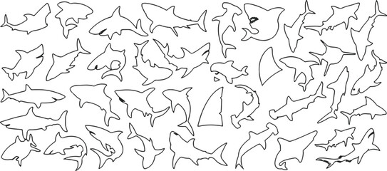 shark, outline, drawing, illustration, animal, marine, ocean, predator, wildlife, sea, fish, fin, dorsal fin, hammerhead, great white, tiger shark, blacktip, reef shark, aquatic, creature, nature, gra © Baizid