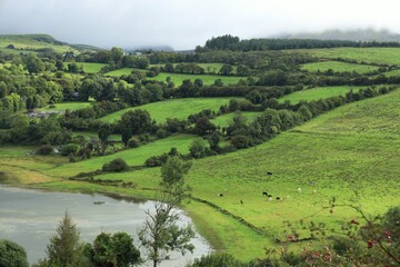 Green Fields Farmland Pastures Underneath