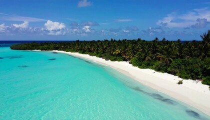 Fototapeta premium Aerial view of a tropical beach (2)