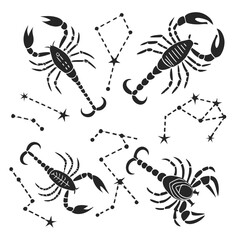 Obraz premium Black scorpion constellations zodiac symbols astrology