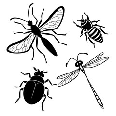 Black silhouette insects dragonfly bee beetle wasp white