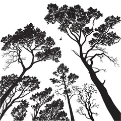 Black silhouettes of forest trees viewed from below nature black and white