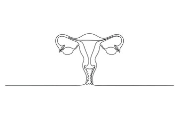 Continuous Line Female Anatomy Illustration – Uterus and Ovaries Vector