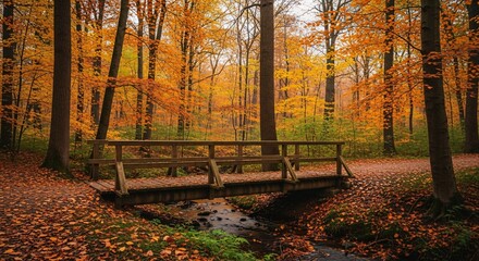A wooden bridge in an autumn forest