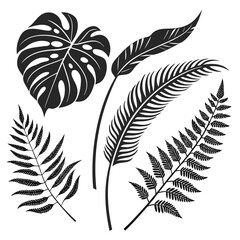 Monstera leaf and fern frond silhouettes tropical plant jungle leaf