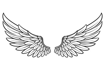 Vector Illustration of Detailed Angel Wings Line Art