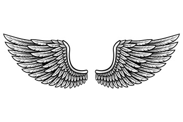 Detailed Angel Wings Vector Illustration in Black and White