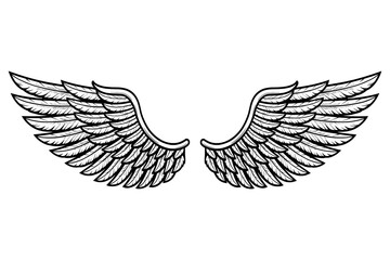 Detailed Angel Wings Vector Illustration in Black and White