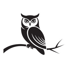 owl sitting on a branch