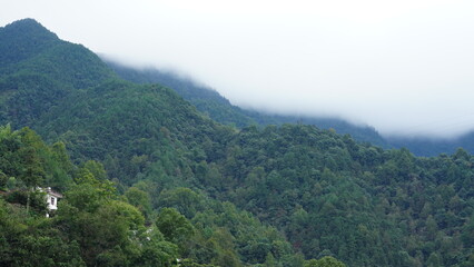 The river valley landscape with the mountains and forest as background in summer
