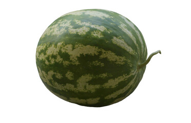 A large ripe watermelon stands on a white background