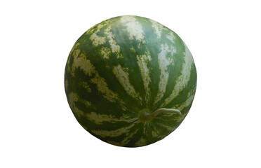 A large ripe watermelon stands on a white background