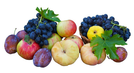 Grapes and various fruits piled up on a white background
