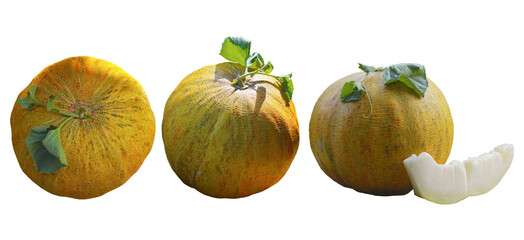 A round yellow melon stands on a white background