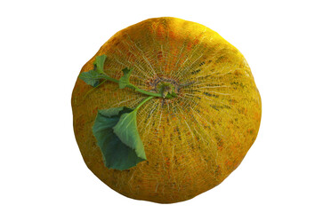 A round yellow melon stands on a white background