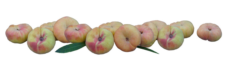 A flat peach stalk spread out on a white background