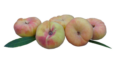A flat peach stalk spread out on a white background