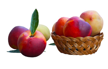 Smooth, hairless peaches in a basket on a white background