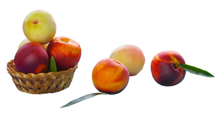 Smooth, hairless peaches in a basket on a white background