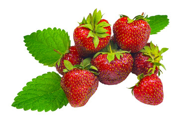 There is a bunch of strawberries on a white background.