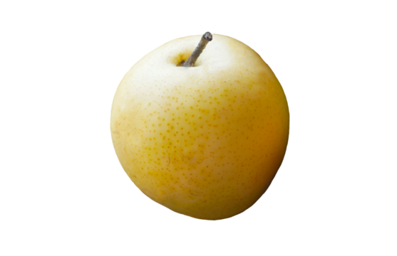 There is a large ripe yellow pear on a white background.