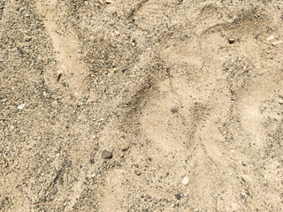 A sandy area with rocks and dirt. The sand is brown and the rocks are black. There are no plants or trees in the area