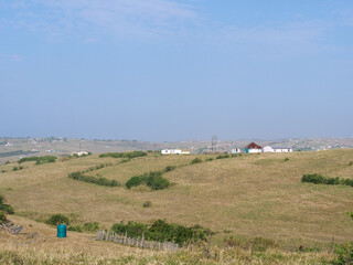 Houses of communities in rural Transkei, South Africa, on hills, surrounded by yellow grasslands which is used for grazing by cattle