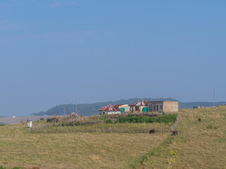 A house on a hill of in rural Transkei, South Africa.  The house is surrounded  by yellow grasslands which is used for grazing by cattle